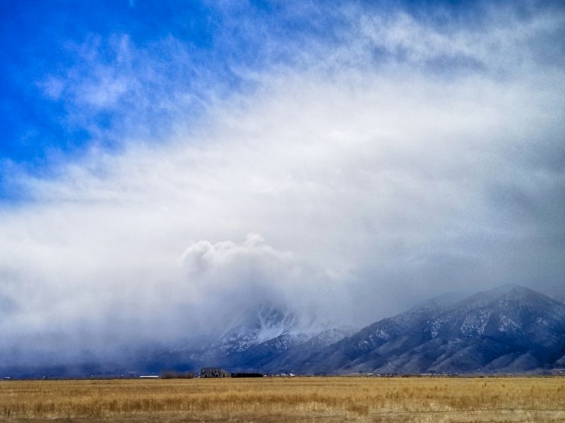 Gardnerville Nevada Landscape